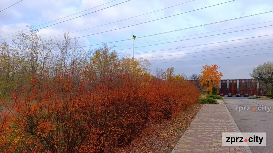 У заповіднику "Хортиця" нагадали, де не можна гуляти під час воєнного стану