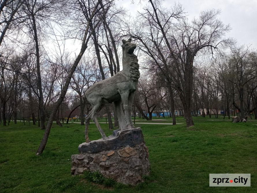 Сезон магнолій і лебеді: у вихідні в запорізькому парку був аншлаг - фото