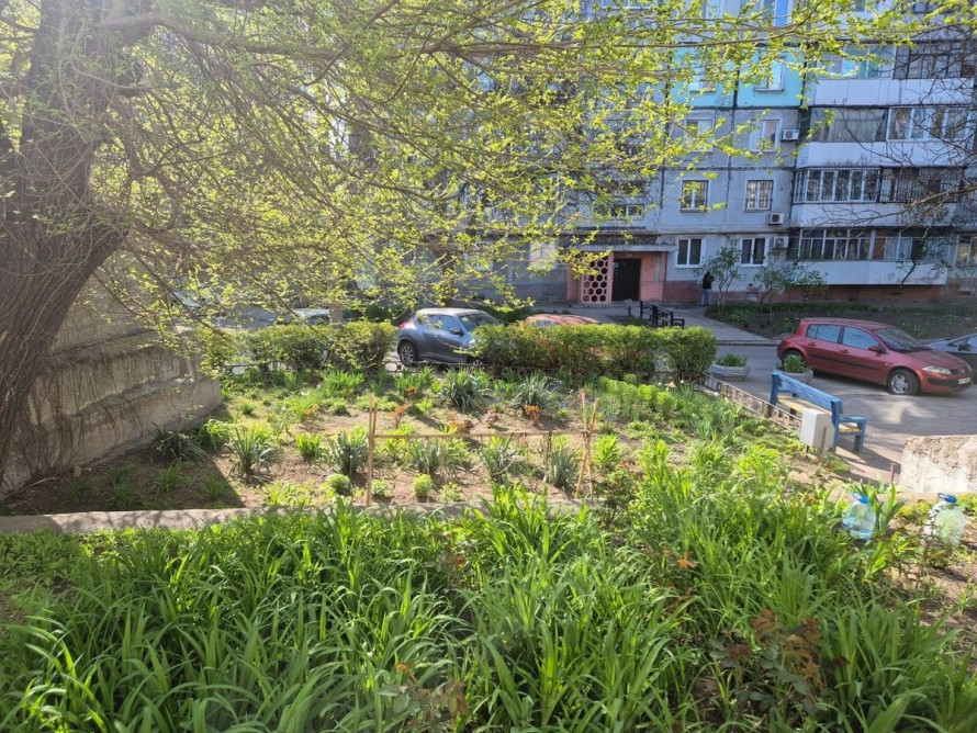 У модульному містечку Запоріжжя висадили алею молодих дерев