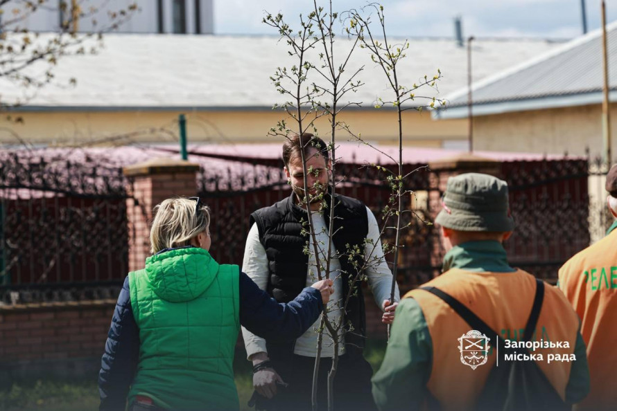 Замість бур'янів та пилу — тінь і затишок: на пустирі у Хортицькому районі Запоріжжя висадили десятки дерев (фото)