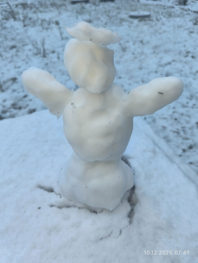 У Запоріжжі почали боротьбу зі снігом - фото перших зимових опадів