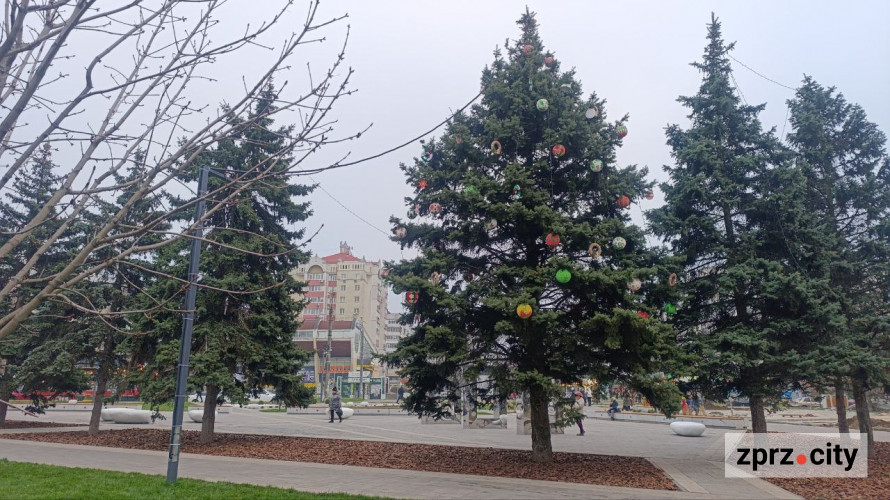 Великий дитячий майданчик та спортивні зони - у спальному мікрорайоні Запоріжжя оновили парк (фото)