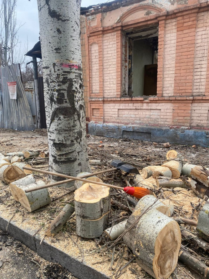 Зрубали під корінь: у Запоріжжі екологи перевірили законність знесення тополь