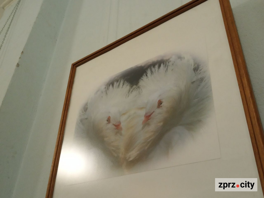 Запорізькі фотохудожники завершують рік великою виставкою - показали багато еротики