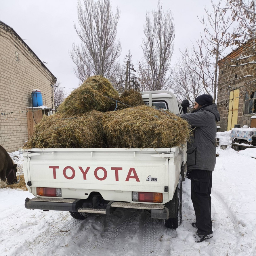 Дикі тварини Хортиці отримують допомогу – як у заповіднику підтримують звірів узимку (фото)