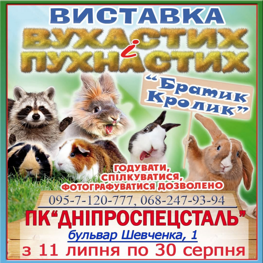 Кіно під зірками, вогняне шоу, забіги та музика: чим зайнятися у Запоріжжі цими вихідними