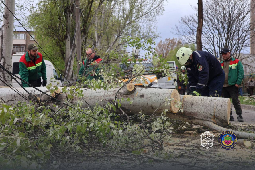 Негода у Запоріжжі повалила дерева: рух дорогами ускладнений (фото, відео)
