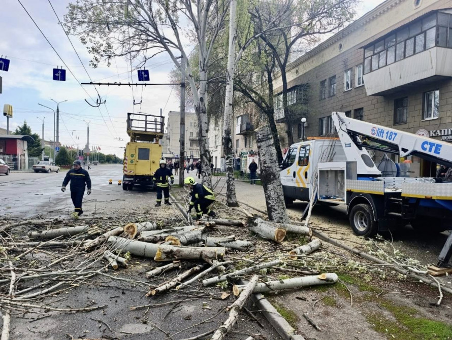 Нависла небезпека: у Запоріжжі аварійна гілка стривожила мешканців (фото)