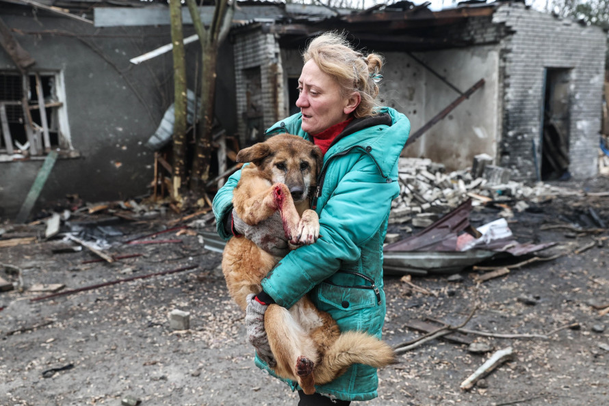 "Тварини не заслуговують бути вбитим" - ситуація у запорізькому притулку для тварин, зруйнованому ворожим дроном