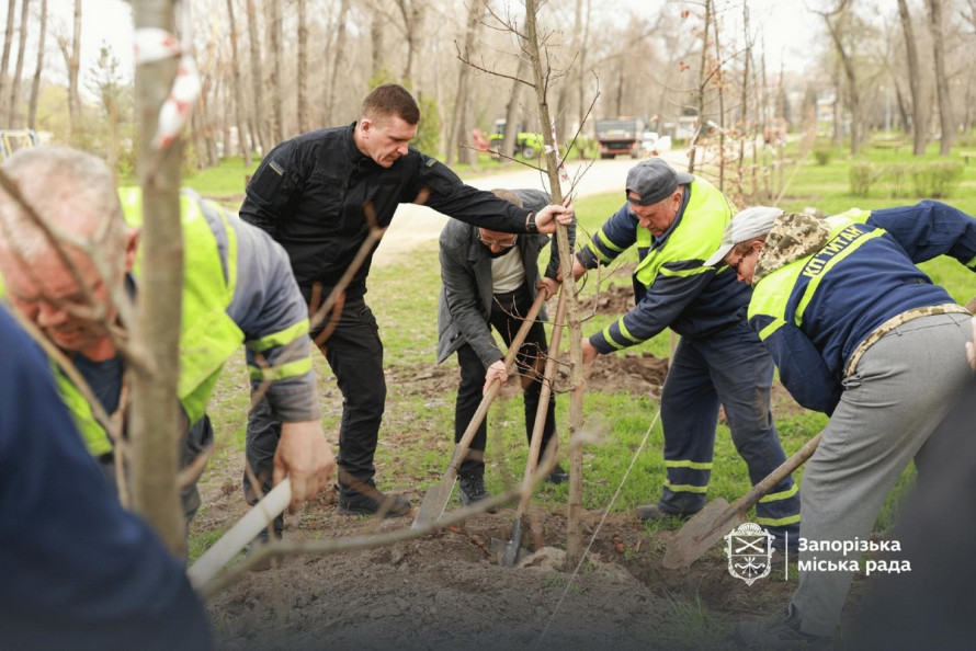 У запорізькому парку висадили нову алею дубів (фото)