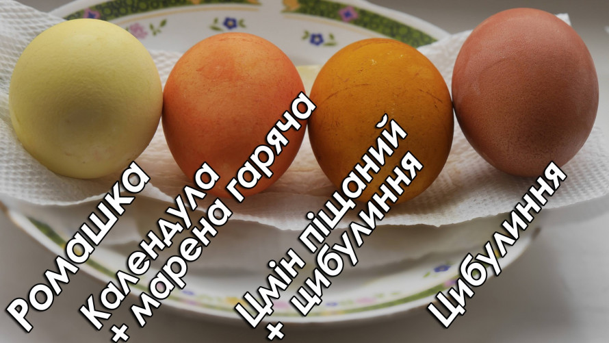 Як пофарбувати яйця без хімії: трави, капуста та цибулеве лушпиння