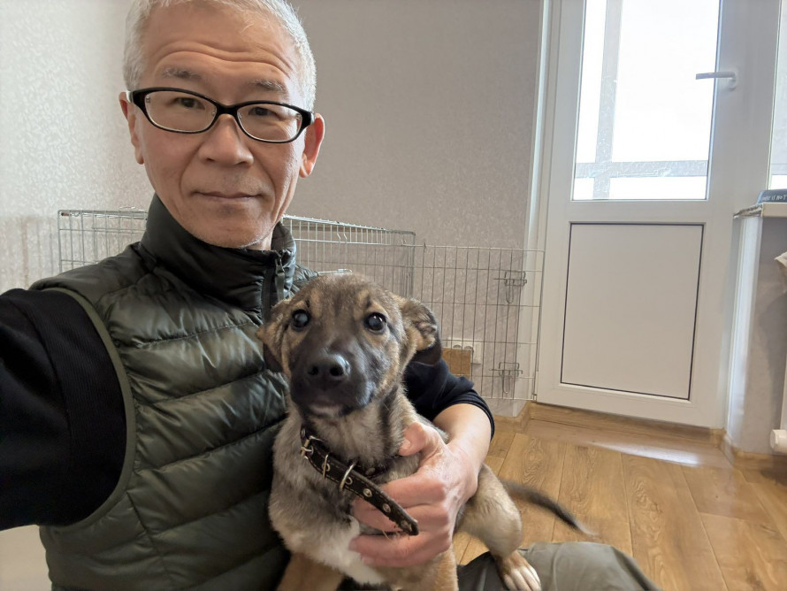 Роксі з прифронтового Запоріжжя вирушає до Японії - волонтер подолав тисячі кілометрів заради цуценяти (фото)