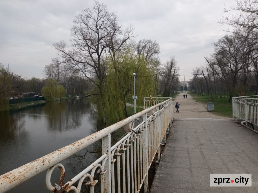 Сезон магнолій і лебеді: у вихідні в запорізькому парку був аншлаг - фото