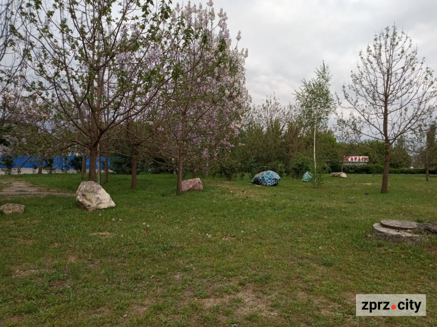 Весняна краса запорізького парку - в одному з районів міста цвітуть заборонені рослини