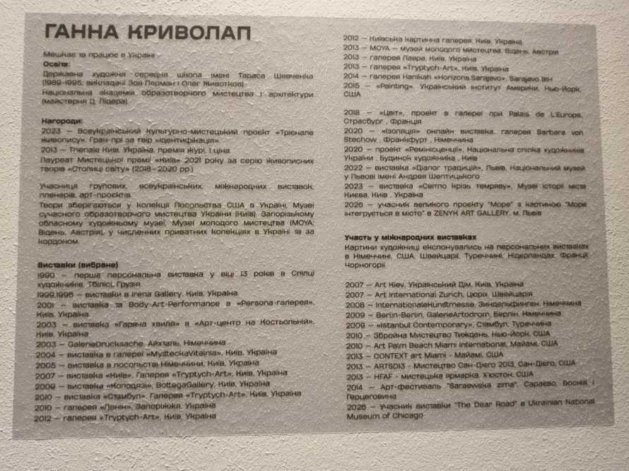 Київська художниця занурила запоріжців у магію кольору - фото