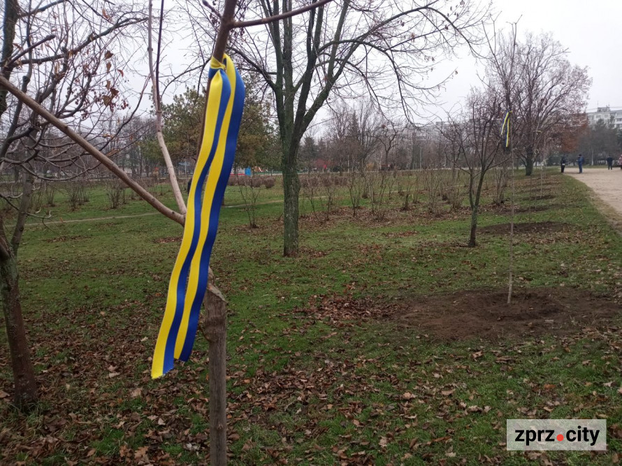 У запорізькому парку висадили більше ста лип і кленів - є унікальний сорт (фото)