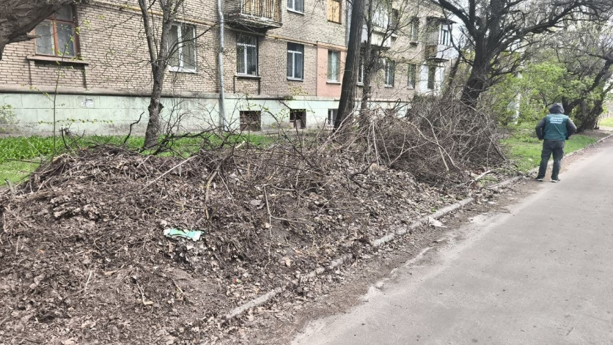 Мешканця обурило сміття у районі: у Запоріжжі екологи виявили кілька стихійних звалищ (фото)