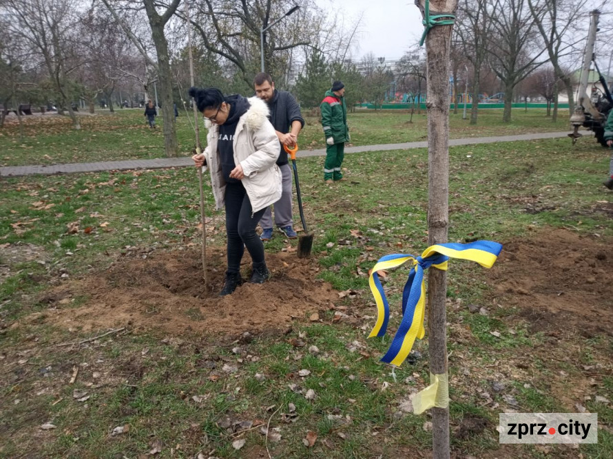У запорізькому парку висадили більше ста лип і кленів - є унікальний сорт (фото)