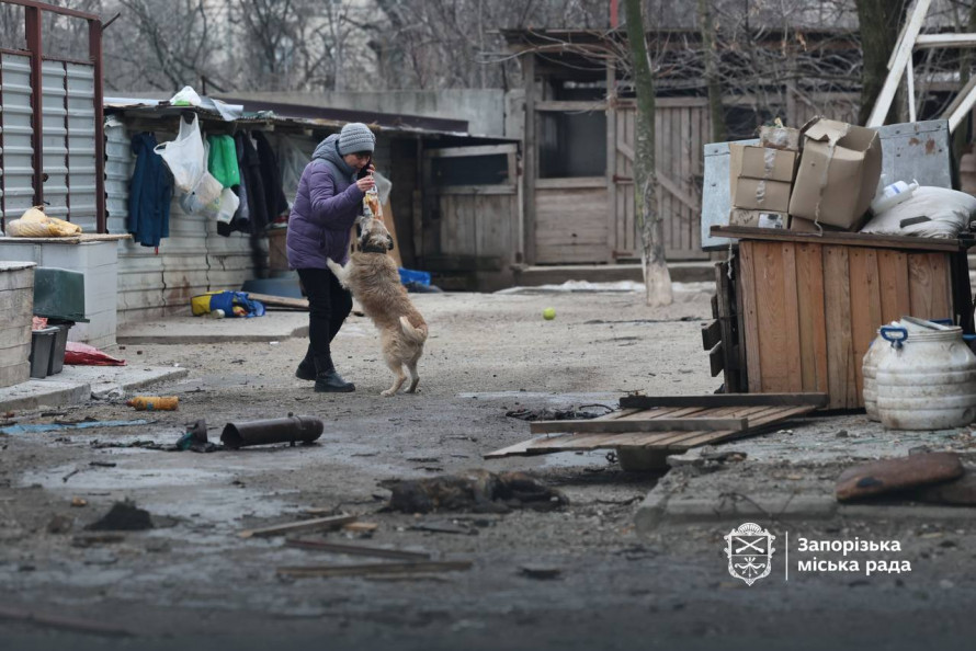Внаслідок атаки БпЛа був зруйнований притулок «Дай лапу, друже» - волонтери просять про допомогу (фото)