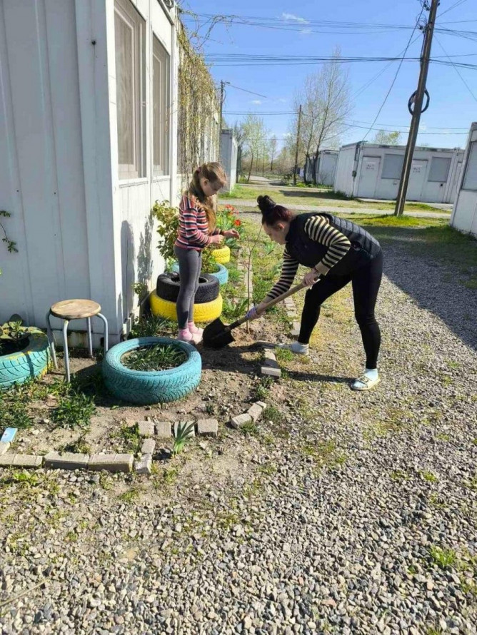 У модульному містечку Запоріжжя висадили алею молодих дерев