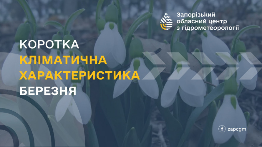 Мокрий сніг і промерзлий ґрунт: як незвичні погодні умови вплинули на озимі в Запорізькому районі