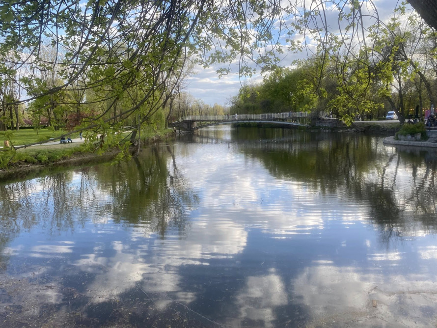 У головному парку Запоріжжя квітне сакура: чим ще можна помилуватись - фото