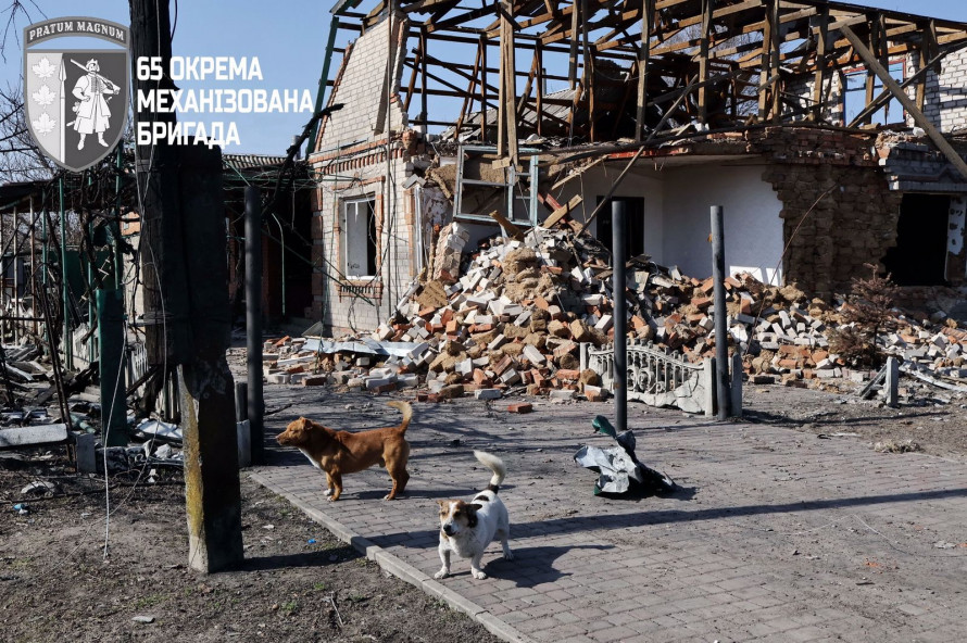 Собаки все ще чекають повернення господарів: як виглядає село Запорізького району у кіл-зоні (фото)