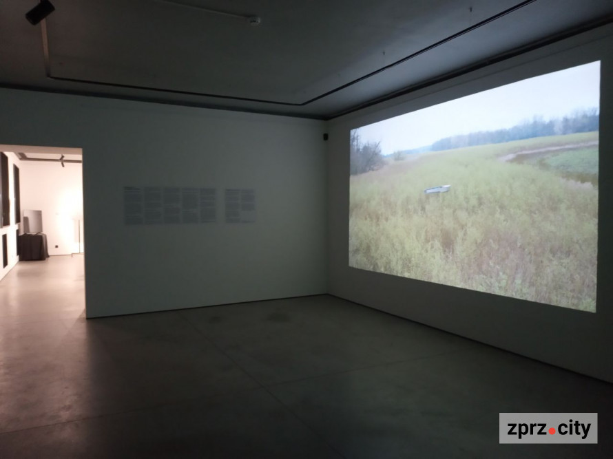 Європейці в шоці - відома художниця презентувала виставку про наслідки війни, яку створила у Запоріжжі