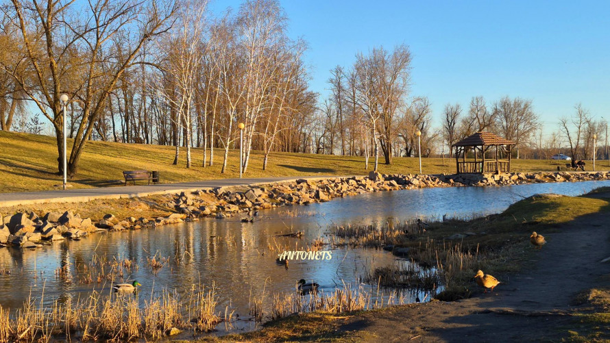 Сонце, качки і перші ознаки весни: як виглядає Вознесенівський парк у Запоріжжі на початку березня (фото)
