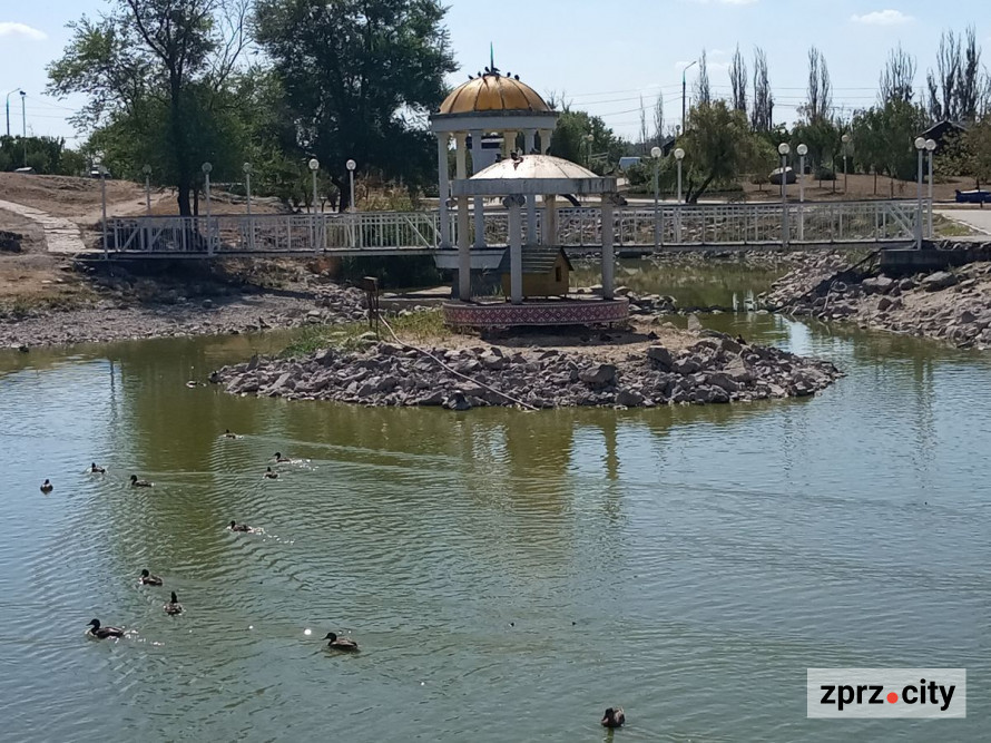 Качечки, черепахи та інша краса: як виглядає на початку осені парк у центрі Запоріжжя (фото)
