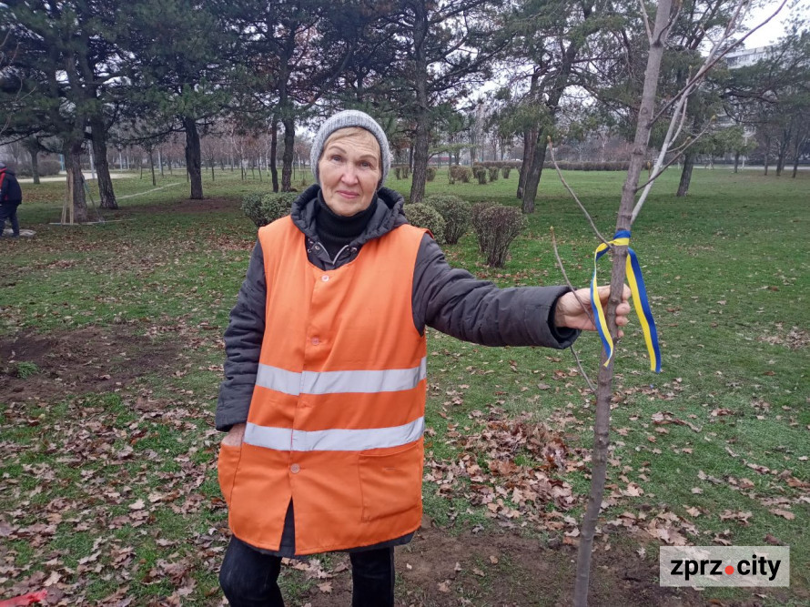 У запорізькому парку висадили більше ста лип і кленів - є унікальний сорт (фото)