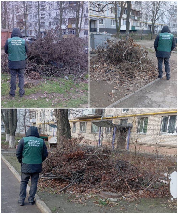 Сміття у дворах: у двох районах Запоріжжя екологи виявили незаконні звалища біля житлових будинків (фото)