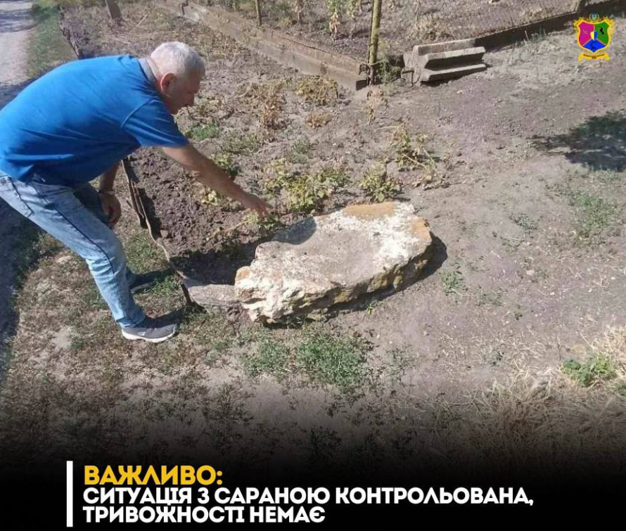 Громада у Запорізькій області потерпає від нашестя сарани - місцева влада розповіла, як буде боротись зі шкідником