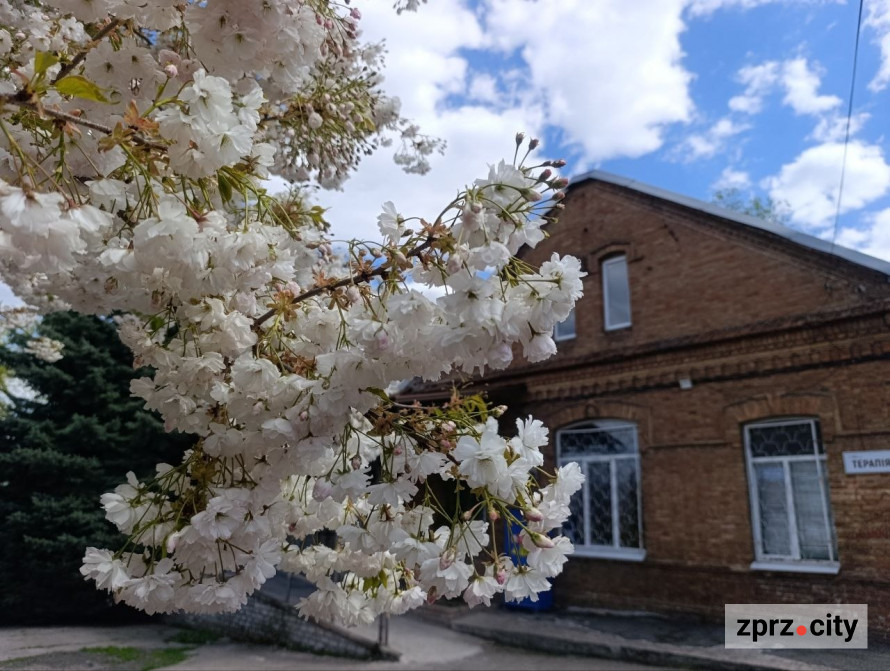 Від найстарішої школи до справжнього замку: які незвичайні менонітські будівлі можна побачити в Запоріжжі (фото)