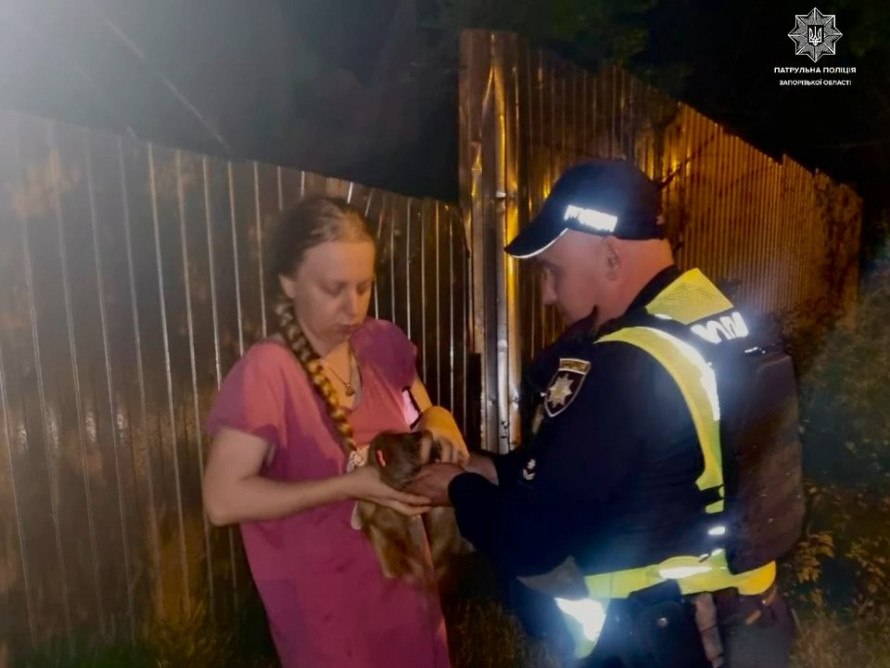 Лежало знесилене посеред дороги - у Запоріжжі патрульні врятували маленьке совеня (фото, відео)