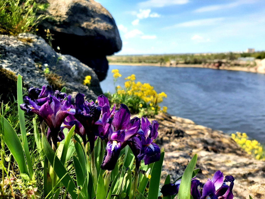 Таємниці Чорної скелі: на Хортиці виявили артефакти різних епох (фото)
