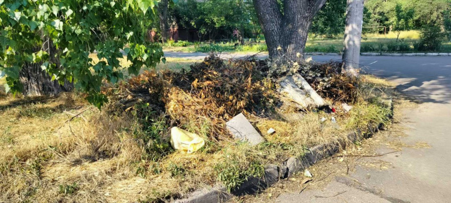 Смітники з усіх боків - в одному з районів Запоріжжя екоінспектори нарахували кілька стихійних звалищ (фото)