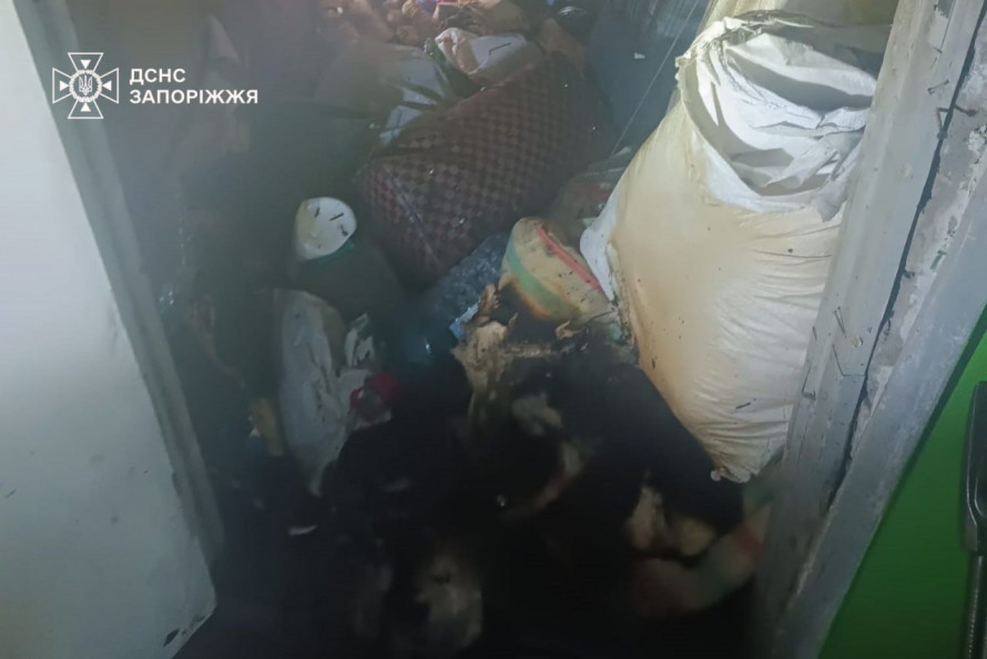 Вогонь спалахнув у коридорі - в Запоріжжі надзвичайники загасили пожежу на дев'ятому поверсі (фото)