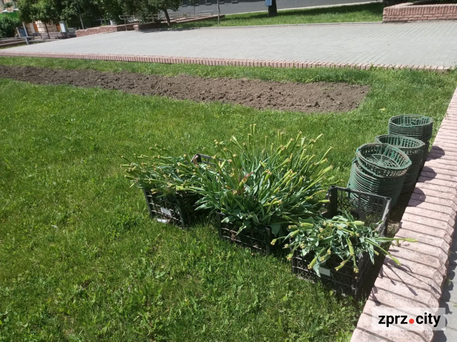 Як виглядає наприкінці весни сквер в історичній частині Запоріжжя - фото