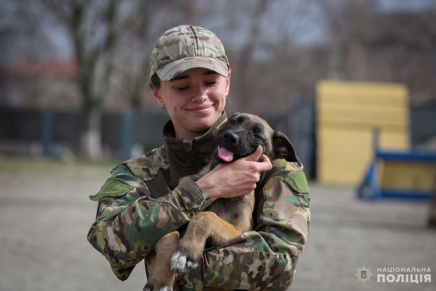 Запорізький кінологічний підрозділ поповнився чотирма хвостатими новобранцями (фото)