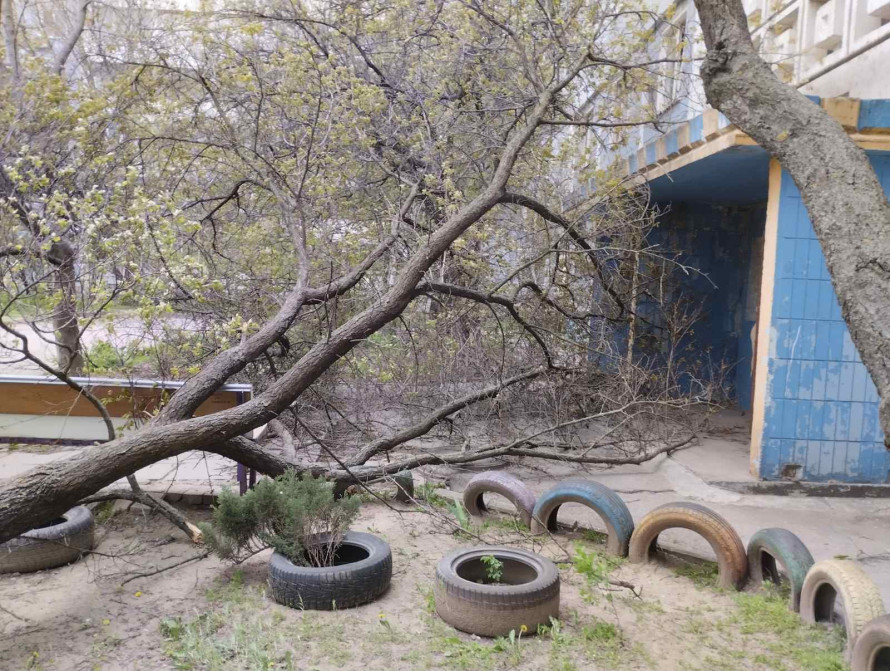 Зруйнована арка та пошкоджений дах філармонії: у Запоріжжі триває ліквідація наслідків буревію (фото, відео)