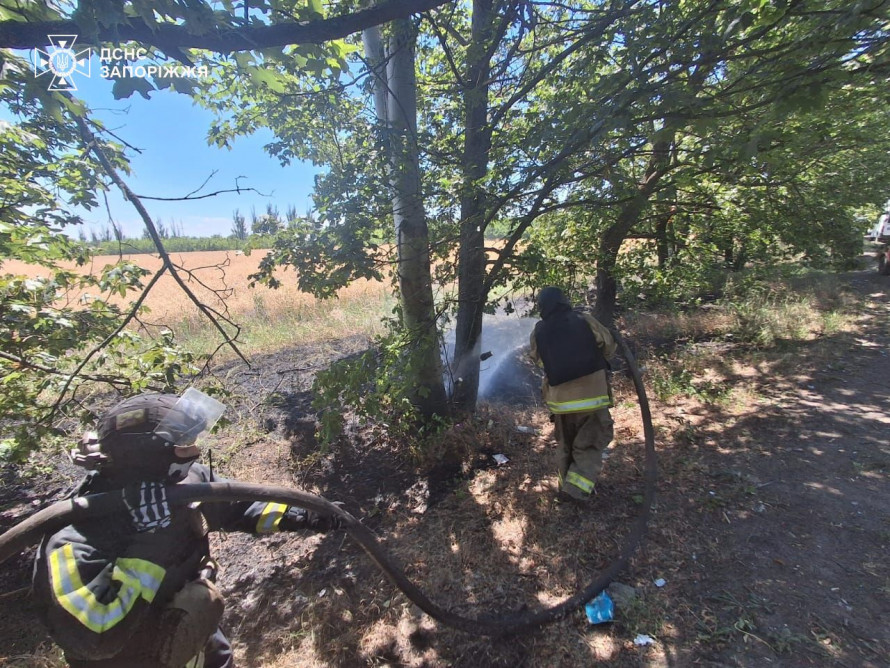 Масштабні пожежі охопили Запорізьку ворожі обстріли спричинили майже два десятки пожеж (фото)