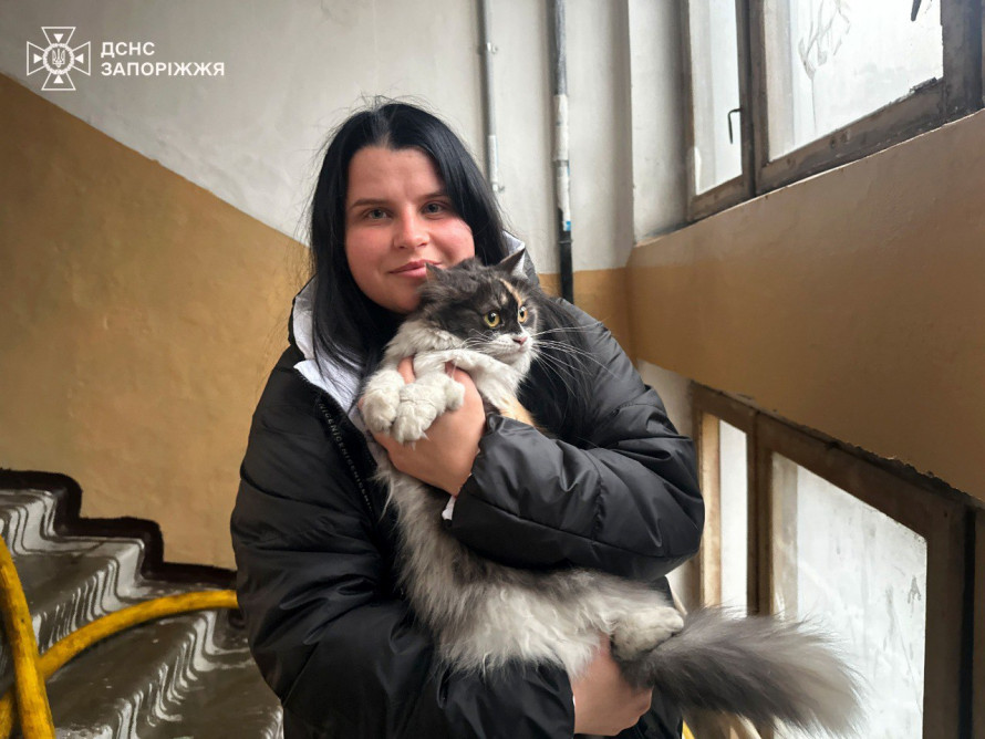 У Запоріжжі рятувальники винесли з палаючої квартири переляканого кота (фото, відео)