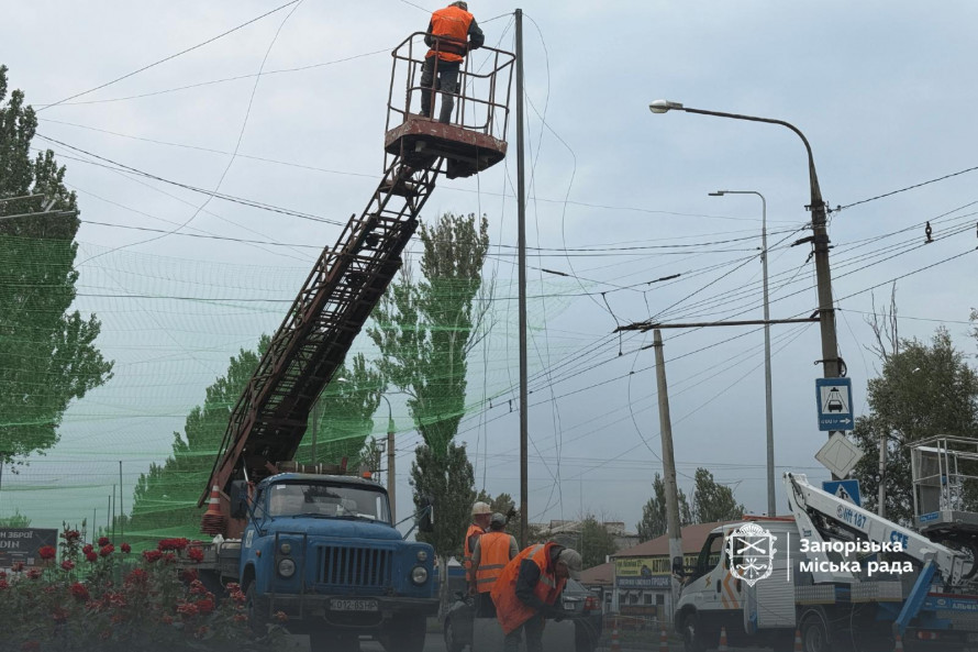 Сітка «впіймала» дрон і відкинула його у кущі: у Запоріжжі на дорогах встановлюють потрійний антидроновий захист