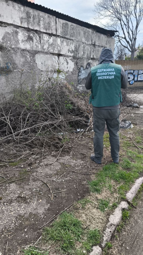 Уздовж вулиць і біля будинків: у Запоріжжі виявили стихійні сміттєзвалища (фото)