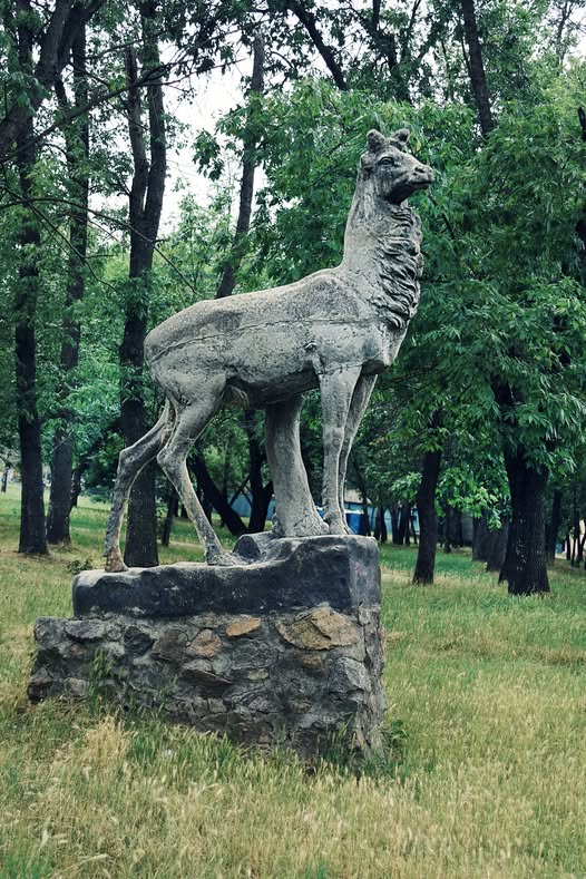 Головний парк Запоріжжя зустрічає відвідувачів доглянутими клумбами з красивими квітами - фото