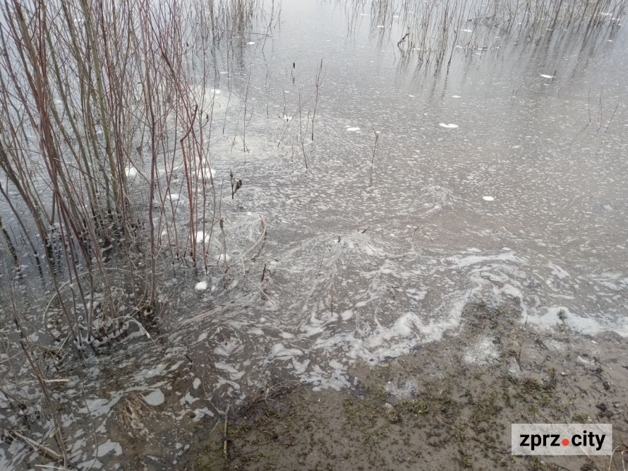 Води стало більше: як виглядає узбережжя Хортиці на початку квітня