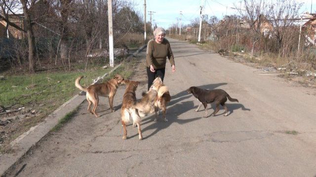До останнього рятували покинутих тварин: в Оріхові загинуло подружжя волонтерів (фото)