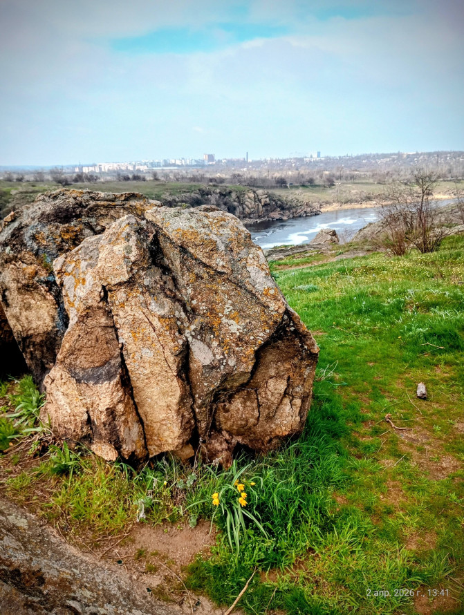 Сон-трава, рідкісні проліски та незвичайні півники: на схилах Хортиці розквітли первоцвіти (фото)