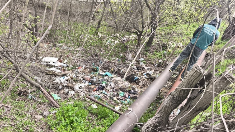 Мешканця обурило сміття у районі: у Запоріжжі екологи виявили кілька стихійних звалищ (фото)